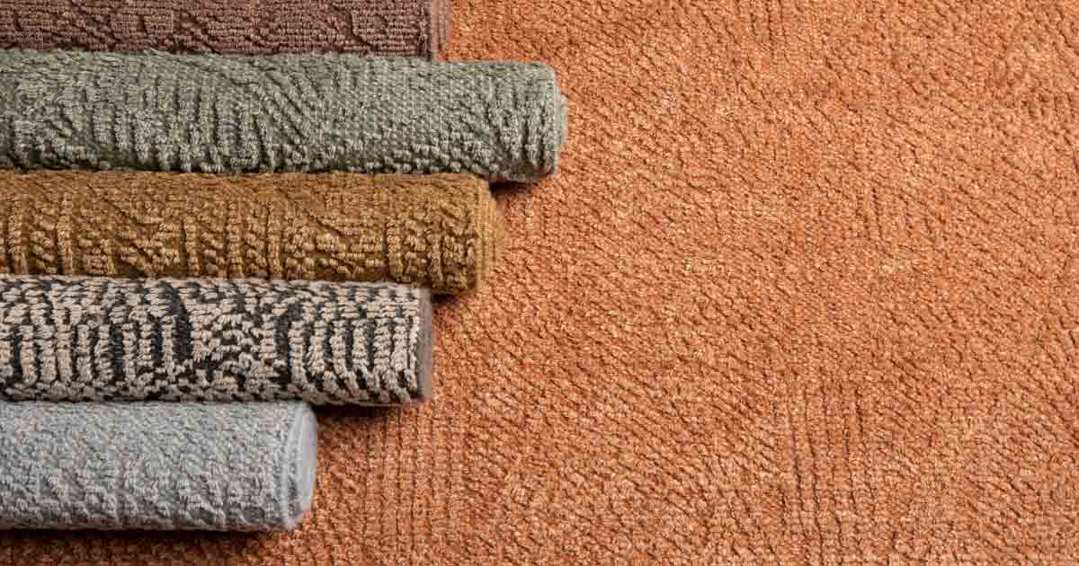 5 reasons Why New Zealand Wool is considered to be the Most Premium Material